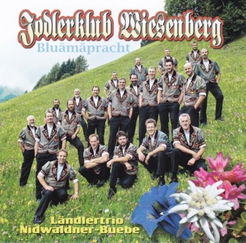 Bluämäpracht