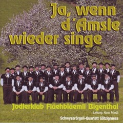 Ja, wenn d'Amsle wieder singe