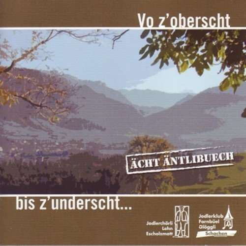 Vo z'oberscht bis z'underscht - Ächt Äntlibuech